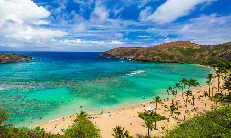 Swim at Hanauma Bay to search for marine life during leisure time in Oahu, charges apply.