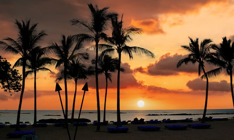 Watch a stunning sunset over the palm trees of Hawaii.