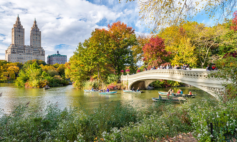 Discover the peace and serenity of New York's leafy, green Central Park.