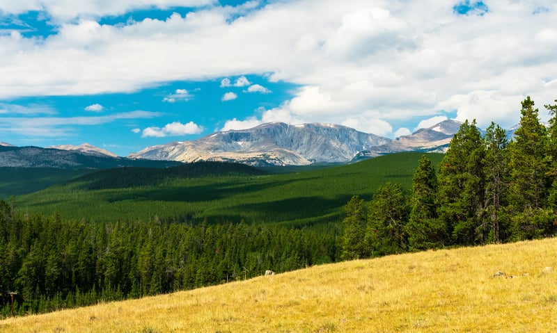 Travel through Bighorn National Forest, where winding mountain roads climb through dense forests.