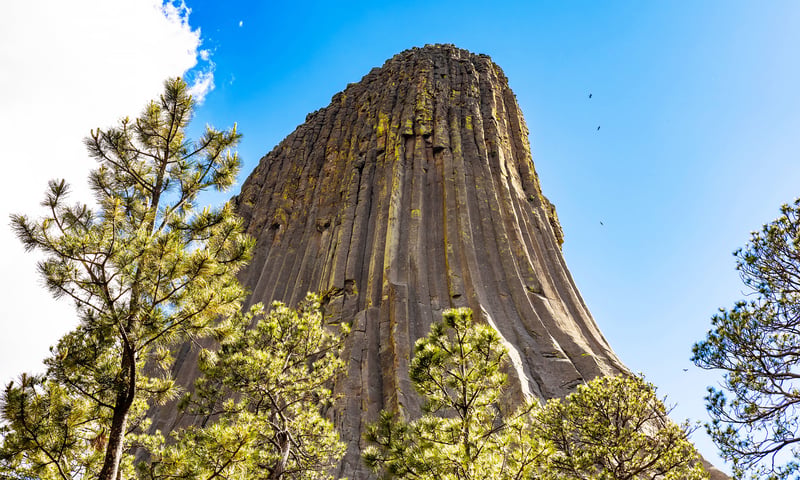 At 265 metres tall, the Devils Tower is one of Wyoming's most popular  natural destinations.