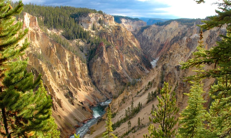 The Grand Canyon in Yellowstone National Park, Wyoming.