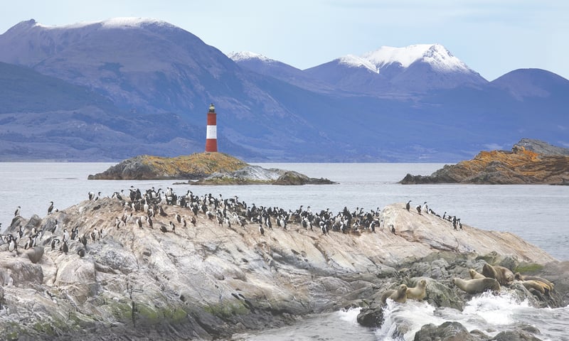 Look for the Les Eclaireurs Lighthouse while sailing along the Beagle Channel.