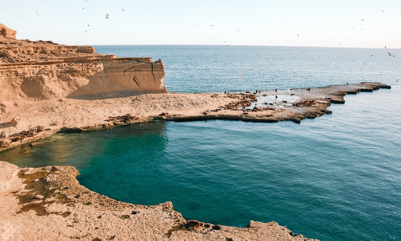 Puerto Madryn is an Argentine city on the coast of northern Patagonia.