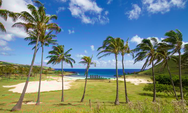 See beautiful Anakena Beach in Rapa Nui (Easter Island), Chile (Itinerary 2) .