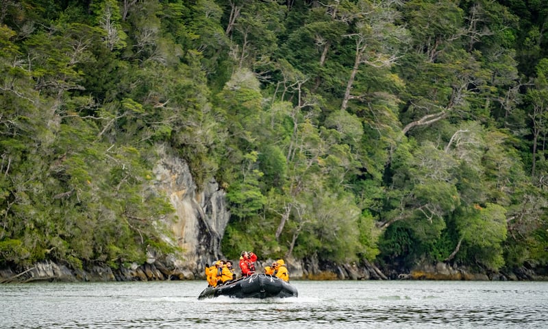 You could explore pristine Caleta Tortel on an included Zodiac excursion.