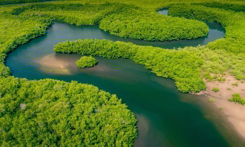 Admire the lush landscapes of the Amazon (Itinerary 2).