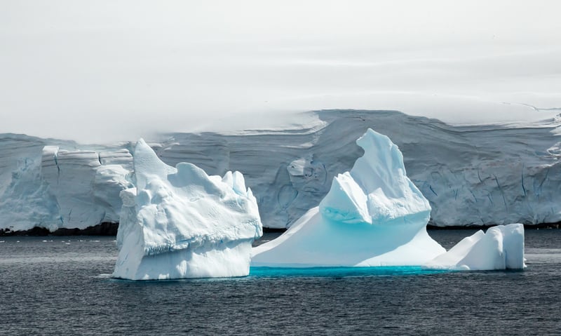 Seek the ever-changing colours of ice floes in Antarctic waters.