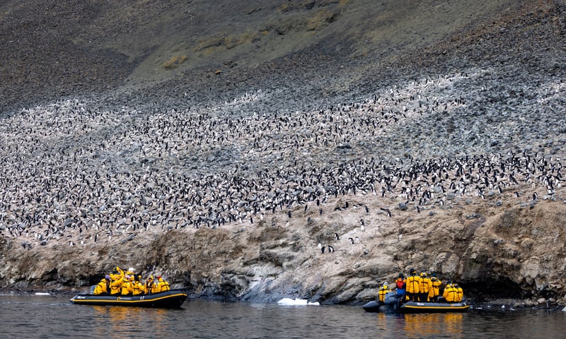 Be prepared for unique experiences available every day when you are in Antarctic waters.