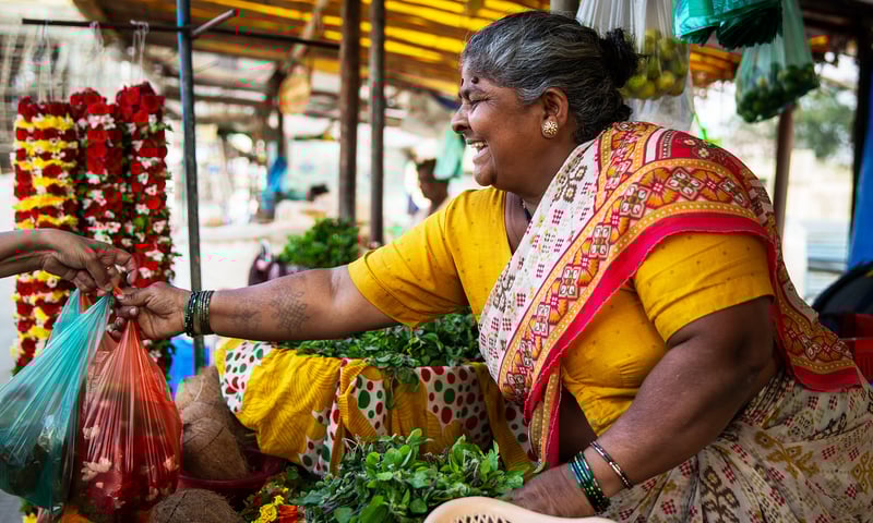 Wander through village markets in Udaipur.