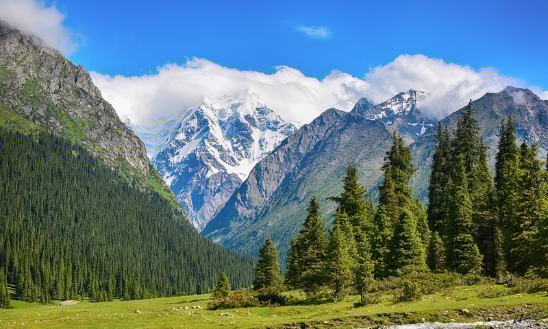 Admire the landscapes of the Tian Shan Mountains near Karakol, Kyrgyzstan.