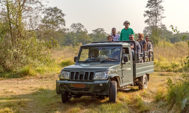 Take an exciting jungle safari through Chitwan National Park, Nepal.