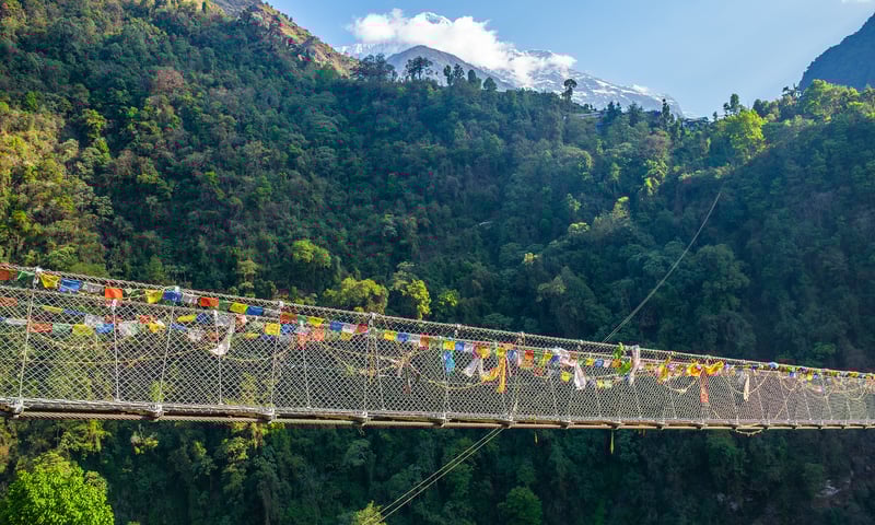 Cross the Jhinu Danda Suspension Bridge.
