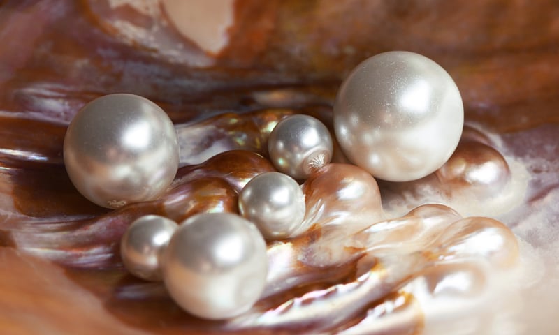 Learn about spectacular freshwater pearls at a pearl factory in Wuxi, China.
