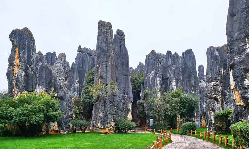 See the stunning Stone Forest near Kunming (optional activity).