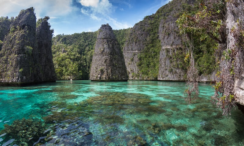 Discover Balbulal Lagoon's wild beauty plus Pulau Misool's white-sand beaches and lush landscapes.