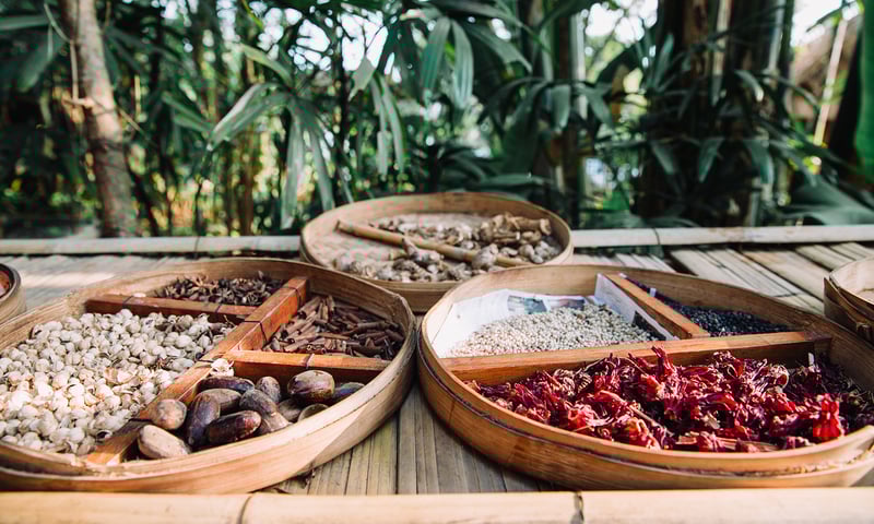 Pulau Miangas is lush with coconut, nutmeg, and clove trees, blending wild and cultivated greenery.