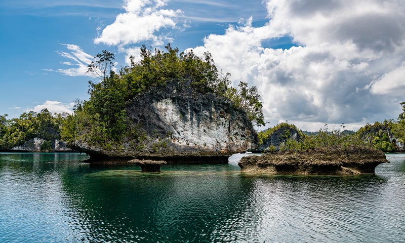 Explore the interesting mushroom-like limestone karsts of Waigeo Island, Indonesia.