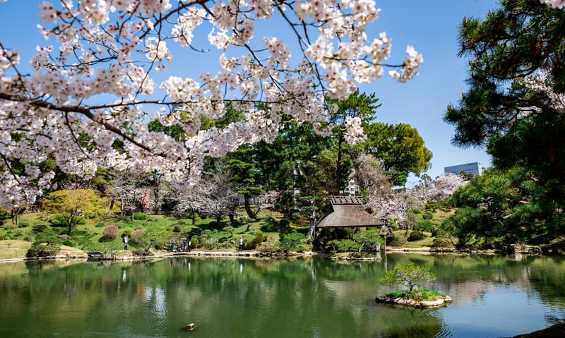 The stunning Shukkeien Garden in Hiroshima, Japan.