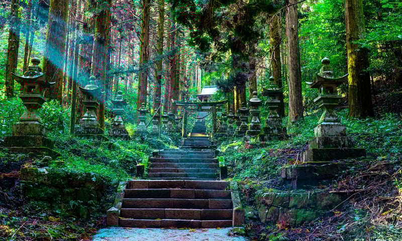 Shrine in the forest, Kumamoto city.