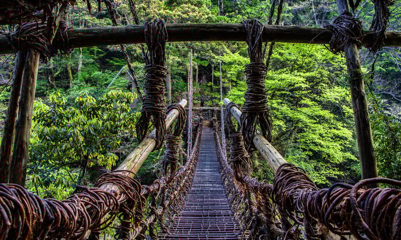 Visit the famous Kazurabashi Vine Bridge in Iya Valley, Japan.