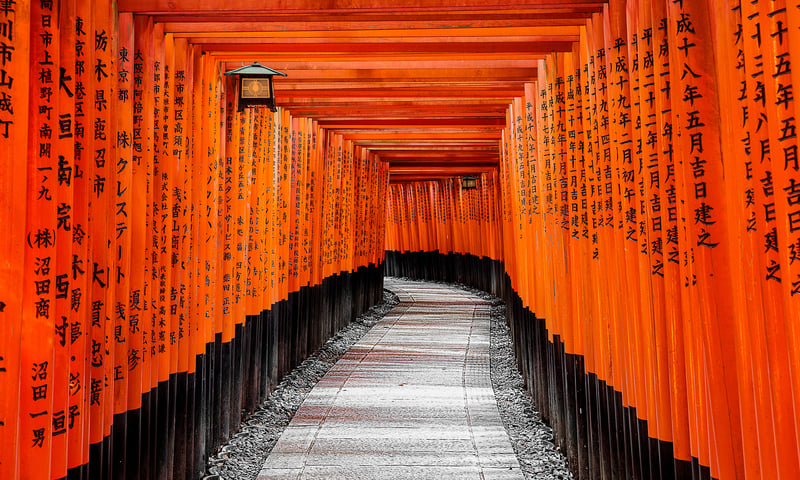 Stroll the iconic Gates to Heaven in Kyoto (optional activity).