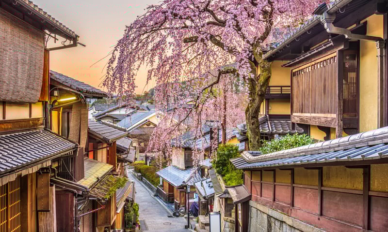 Kyoto’s ancient streets come alive with colourful pink hues.