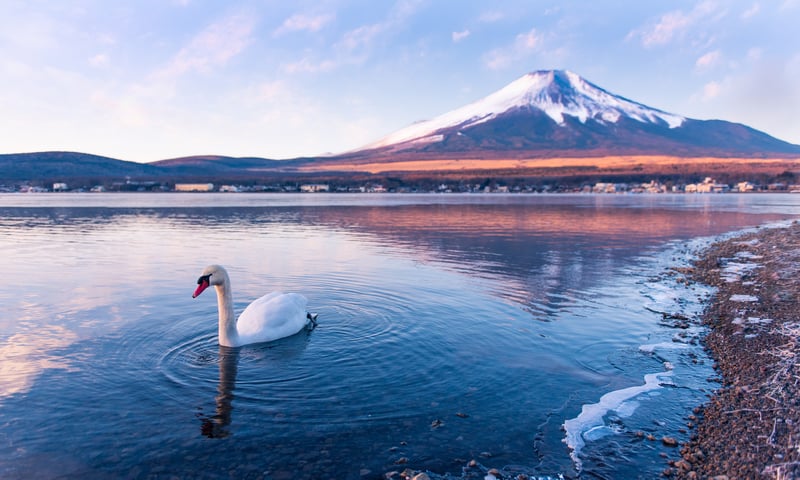 Stop at Lake Yamanaka for a breathtaking view of Mount Fuji's snowcapped peak.