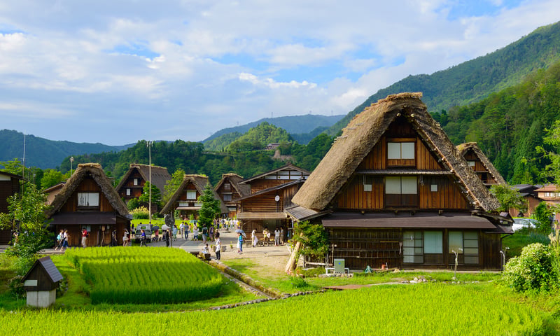 Visit Shirakawa-go,  famous for its traditional gassho-zukuri farmhouses.