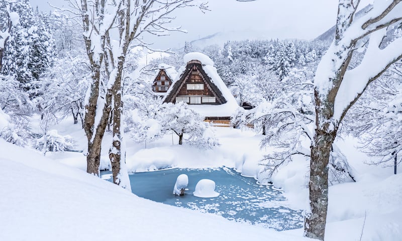 The roofs of the gassho-zukuri farmhouses in Shirakawa-go, Japan, are designed to shed snow.