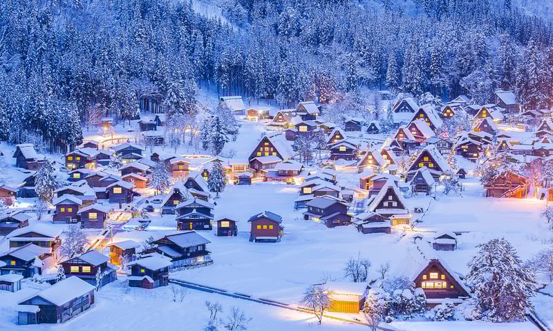 Shirakawa-go is famous for their gassho-zukuri style farmhouses.