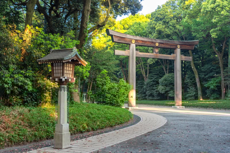 Walk around Meiji Shrine with leisure time in Tokyo, Japan.