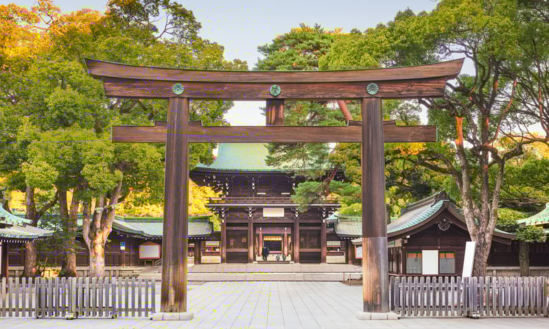 Visit the stunning Meiji Shrine during a sightseeing tour of Tokyo.