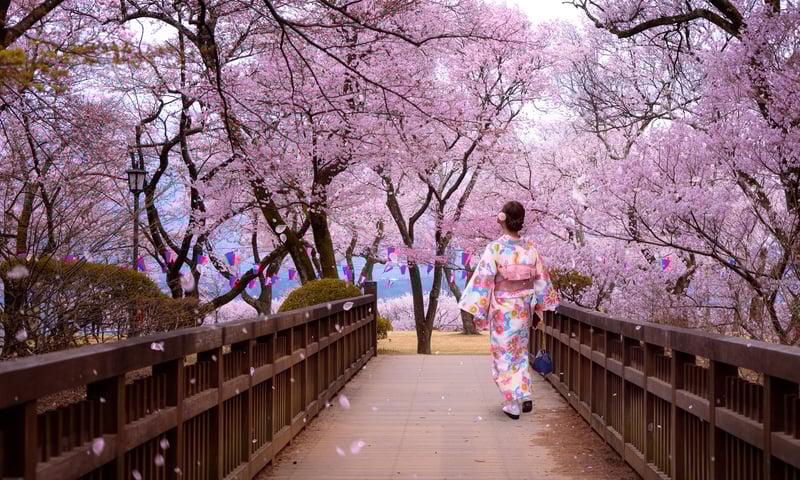 Sail in luxury to Japan & South Korea during Cherry Blossom Season with Azamara.