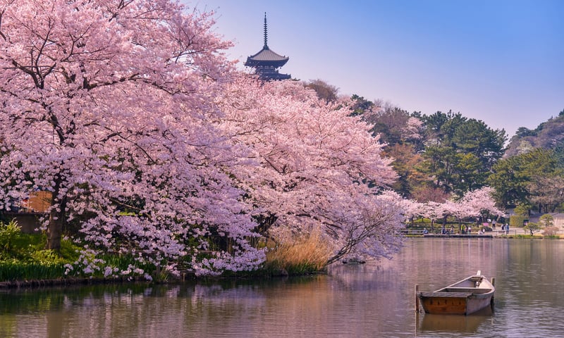 Yokohama's Sankei-en garden offers an idyllic stop on the way back to Tokyo.