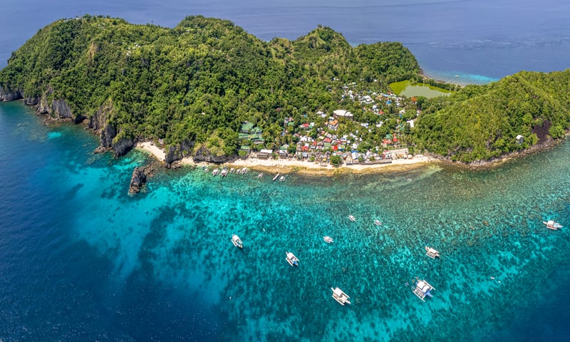 Enjoy a day tour snorkelling around Apo Island, Philippines (optional activity, charges apply).