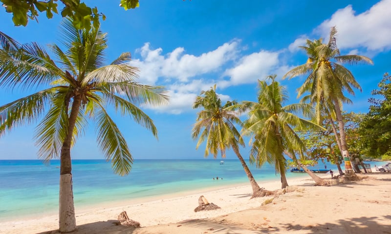 Unwind on Alona Beach with time at leisure in Bohol, Philippines.