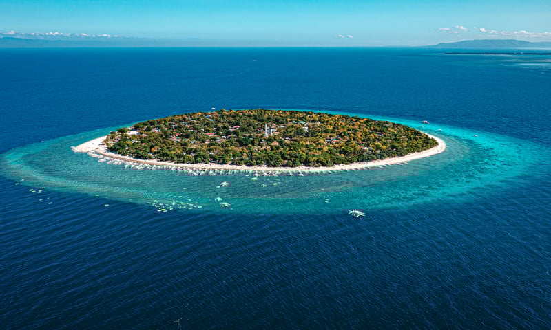 Visit Balicasag Island Marine Sanctuary, circled by a fish-filled reef and deep dropoff.