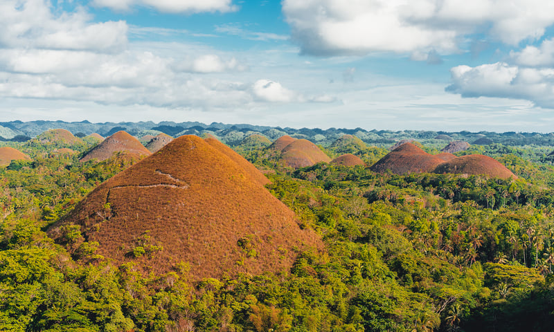 Discover the regal majesty of Bohol's Chocolate Hills.