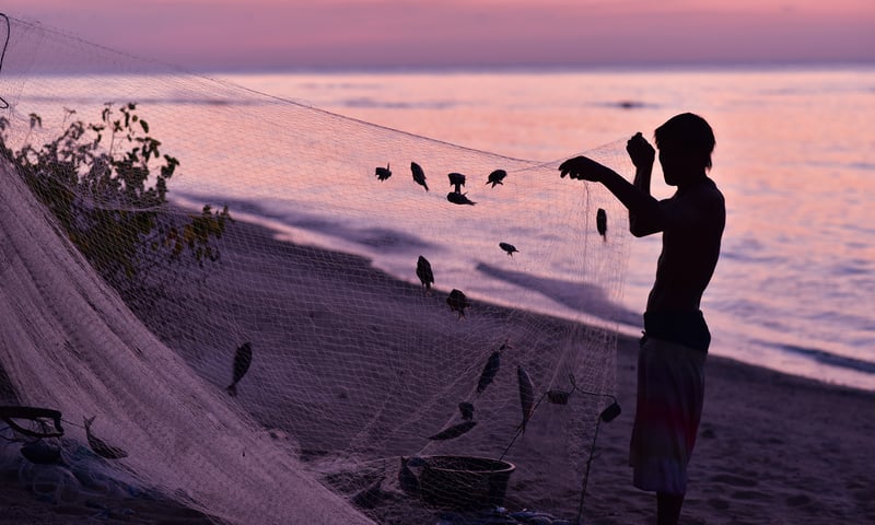 Fishing is a way of life for the local communities of the Cuatro Islas.