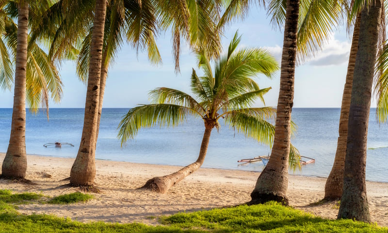 Walk across the golden sands surrounding Siquijor, Philippines.