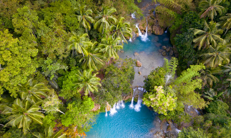 Explore the lush jungle around Cambugahay Waterfall in Siquijor, Philippines.