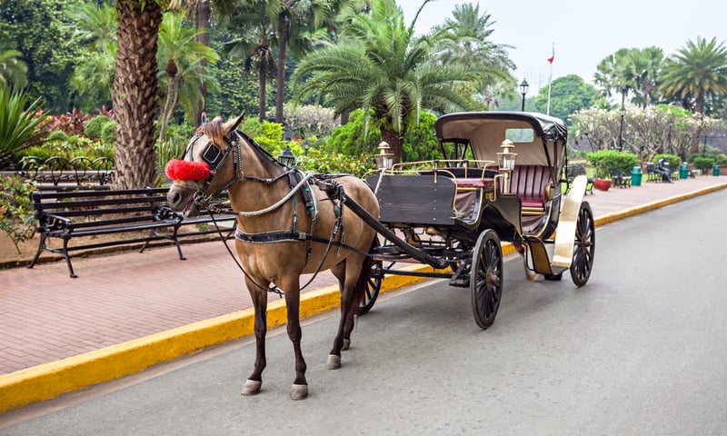 Look for horse drawn carriages around Vigan, Philippines.