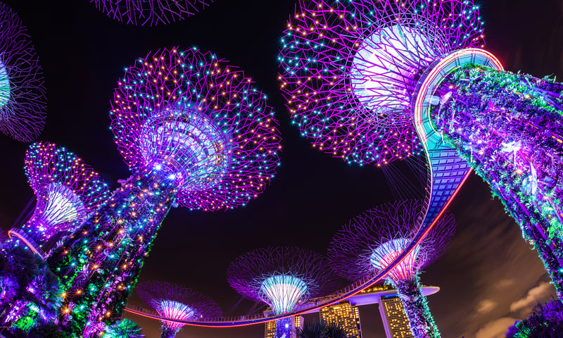 Explore the magical Singapore Gardens by the Bay (charges may apply).