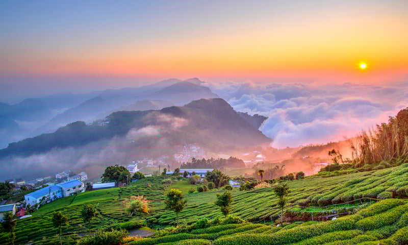 The beauty of Alishan National Scenic Area in central Taiwan.