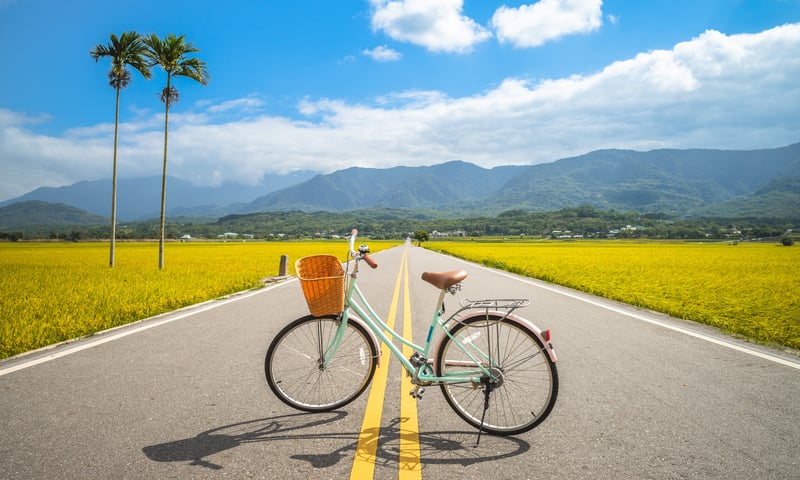 Visit the stunning Brown Boulevard, a popular path through rice paddies with panoramic views.