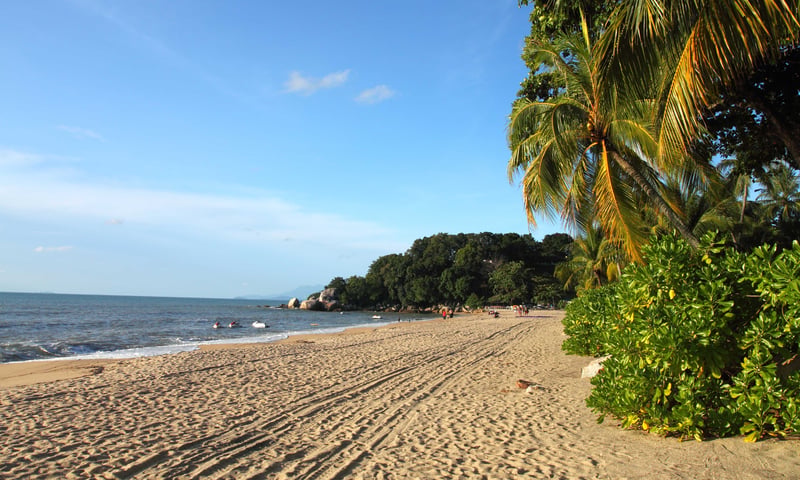 Relax on the beach at Batu Ferringhi.