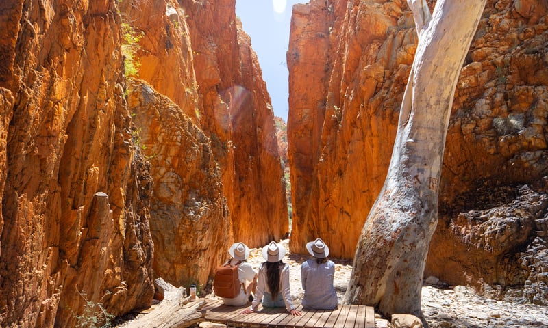Standley Chasm is a spectacular 80-meter sheer rock gorge located within the West MacDonnell NP.