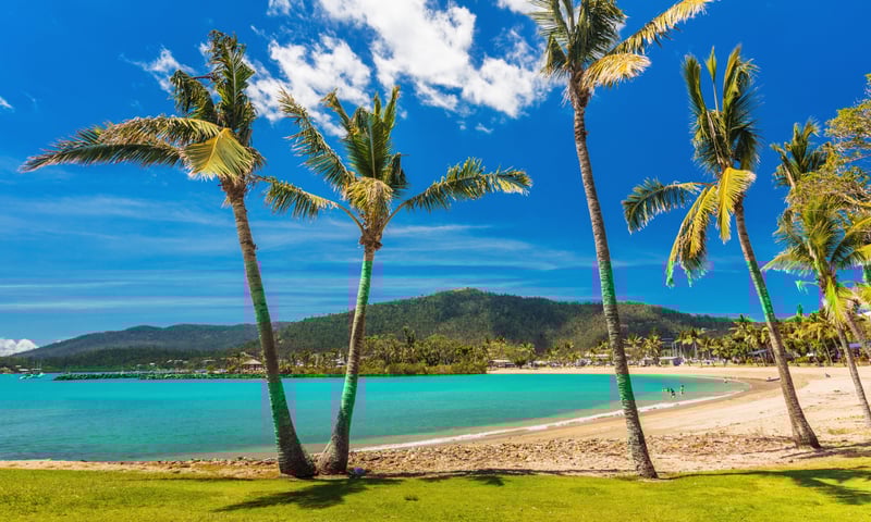 Explore tropical Airlie Beach, Queensland, Australia.