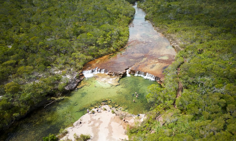Take a refreshing dip in Fruit Bat Falls, Queensland.